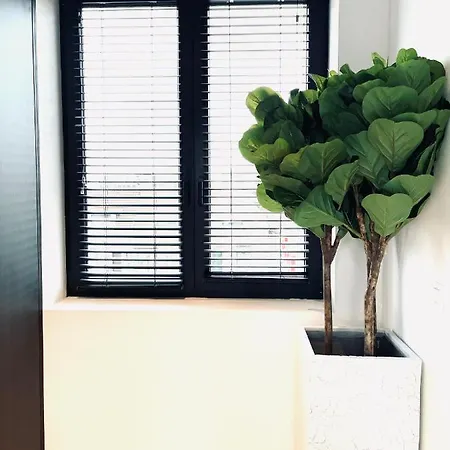 Luxury Business Flat Apartamento