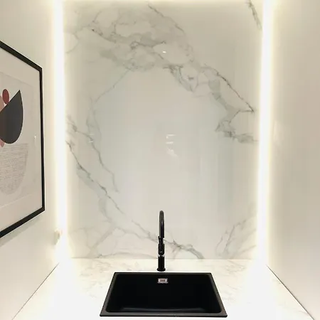 Luxury Business Flat